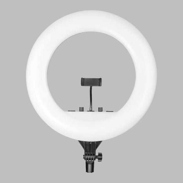 Digitek light